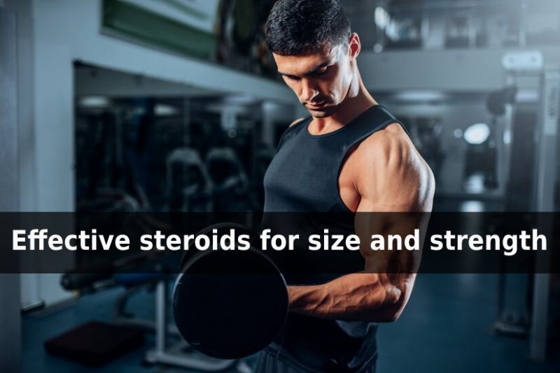 best steroids for bulking